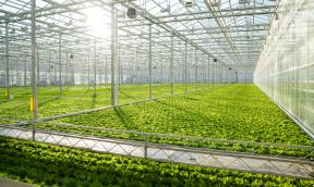 Greenhouses